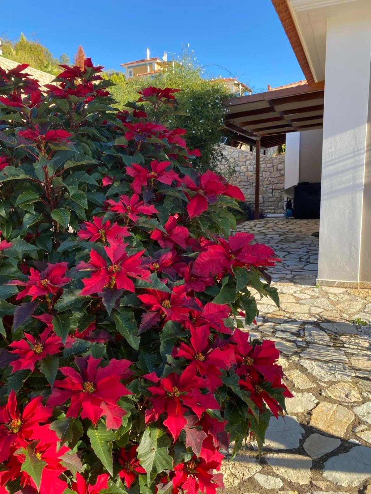 Apollo Romantic Sea View Villa Kiveri Exterior photo